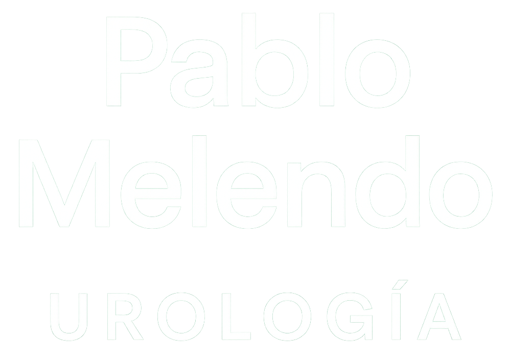Pablo Melendo logo